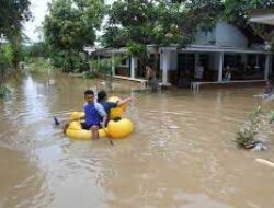 Banjir rendam pemukiman warga di Jember