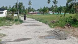 Jalan Desa Serdang Tak Kunjung Diperbaiki