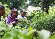 Rindangnya Agrowisata Lansia di Bekasi, Bikin Pengunjung Betah Berlama-lama